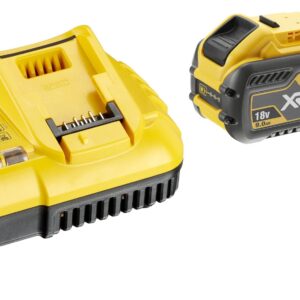 DeWalt set baterija i punjača DCB118X2