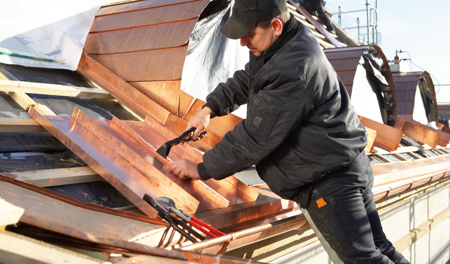 Bessey falc klešta za ivice D335